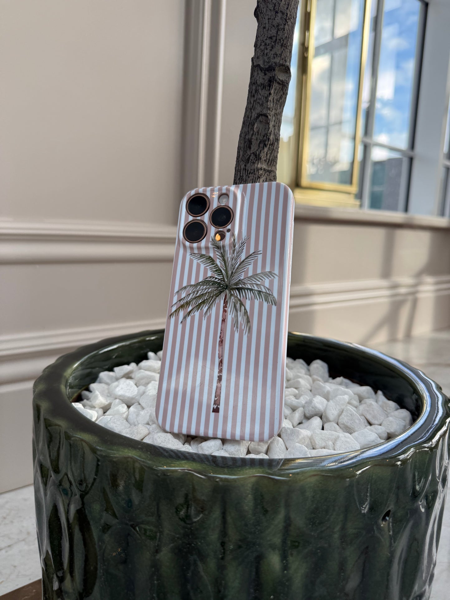 Palm Springs Phone Case